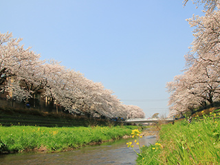 調布市・三鷹市は出張費無料！